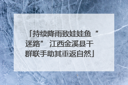 持续降雨致娃娃鱼“迷路” 江西金溪县干群联手助其重返自然